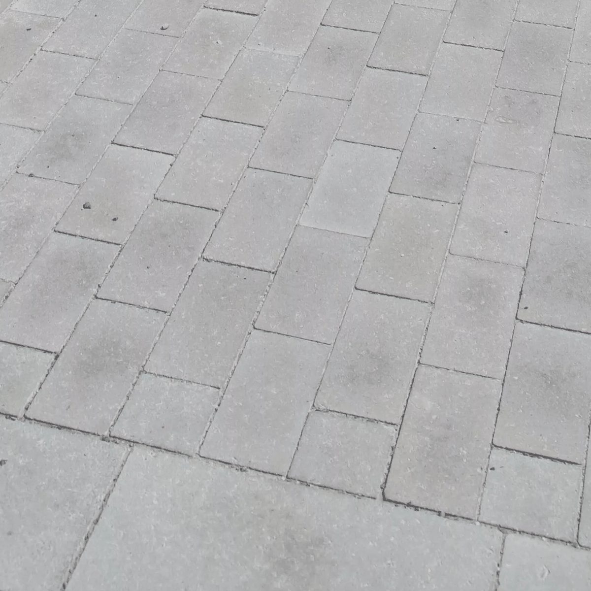 grå marksten