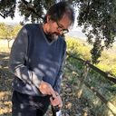 Vin producent Balaguer i Cabré DOQ Priorat Prioraty Wines