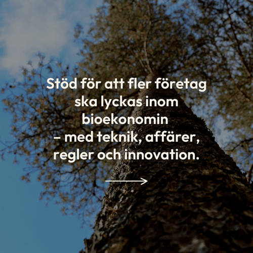 Bild på skog som länkar till projektet ToBeReal