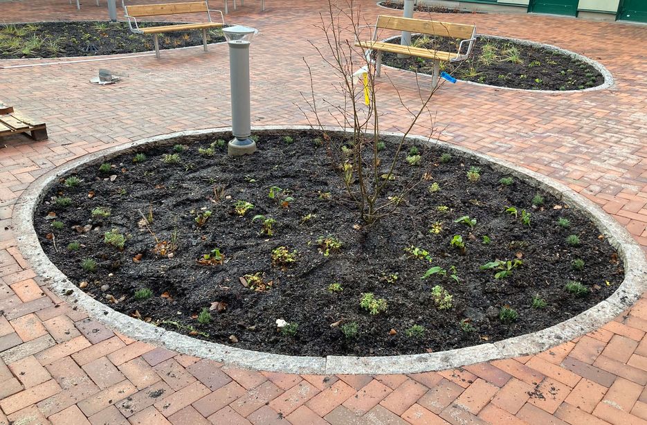 kantsten och marksten vid Hälsocentralen i Gamleby