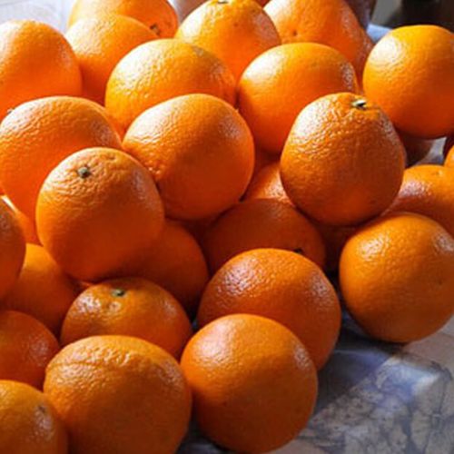 Spanska apelsiner