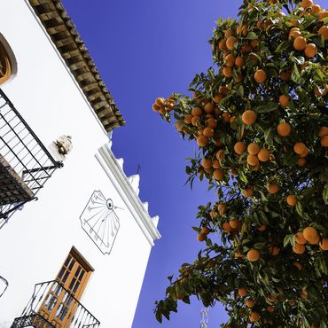 Apelsintorget i Marbella, Costa del Sol, Spanien