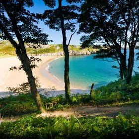 image of Barafundel Beach through the trees approaching from Broadhaven South headland walk