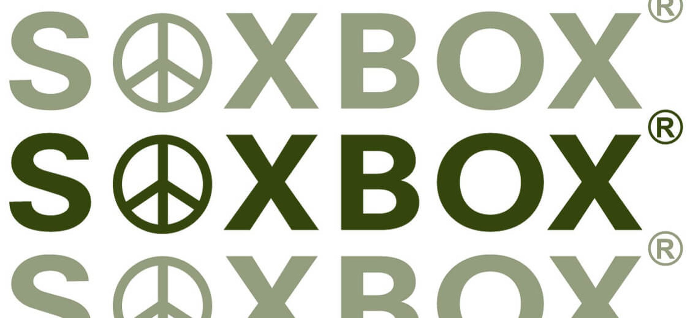 Logo File Formats For The Web Snowfire logo-file-formats-for-the-web-snowfire