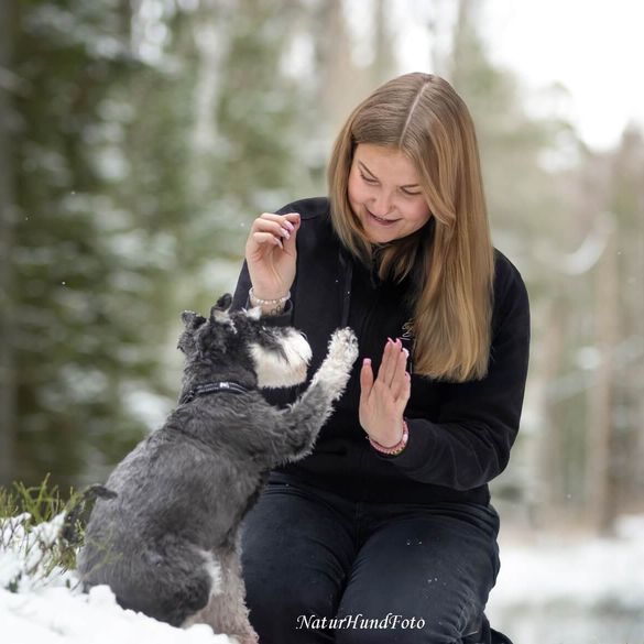 Bild tagen av NaturHundFoto - https://www.naturhundfoto.com/