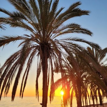 Solnedgång i Marbella