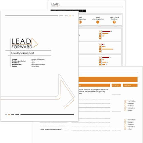 Exempel-rapport Lead Forward