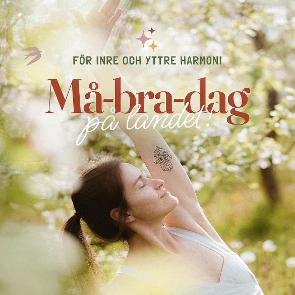 Malmberga Loge - Svängig logdans 60+ 7/6 Country style Bugg Livebband