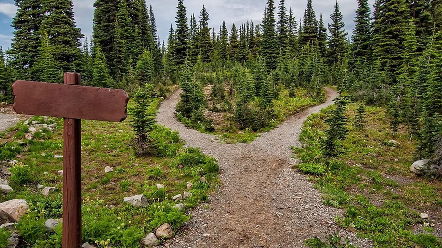 Bigger path divides into two paths