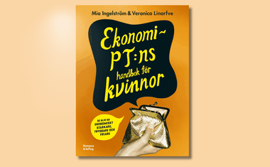 Ekonomi-PT:ns handbok