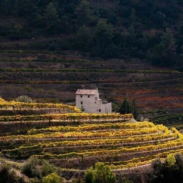Solbelysta terrasser med vitt hus