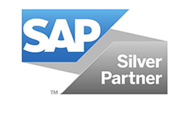 SAP, partner till BI företaget Catigo