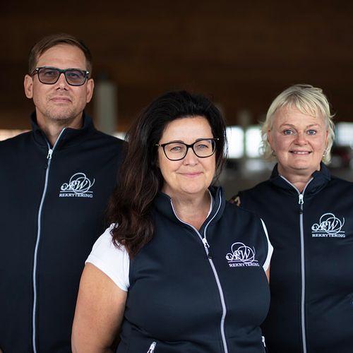 Gruppbild på AW Rekrytering & HRs konsulter