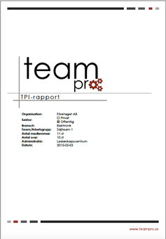 Team PRO-dokument