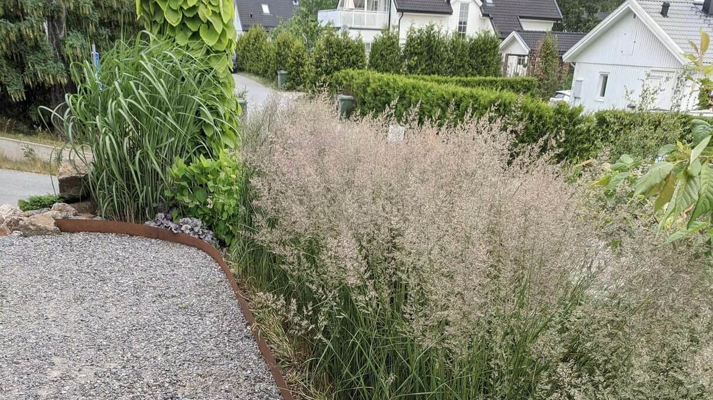 Cortenkant, Tuvrör, grusgång