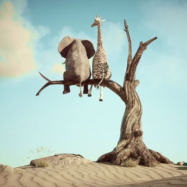 En elefant och en giraff sitter tillsammans på en trädgren i ett öppet landskap.