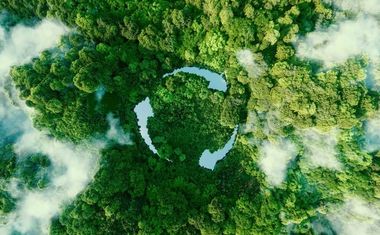 Image of a forest with a recycling symbol linking to the Biomodel4Regions project