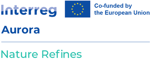 Funders - EU logo